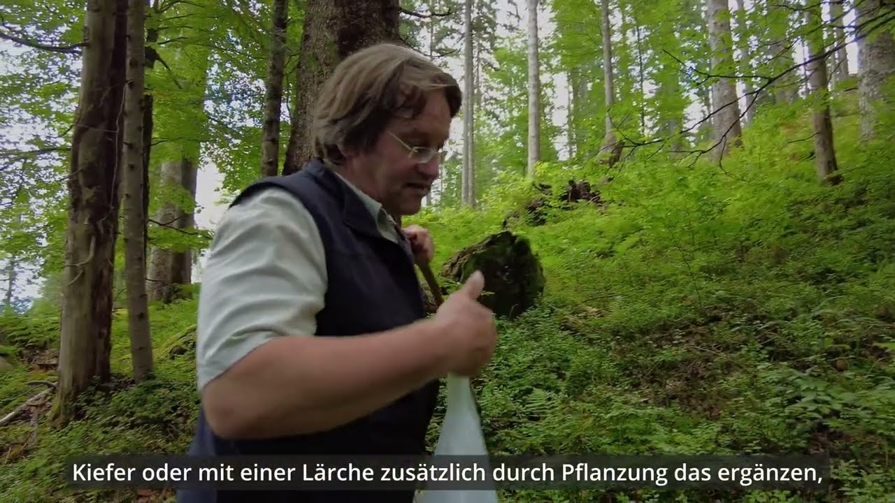 Folge 11: Natürliche Verjüngung im Bergwald durch eigene Jagd