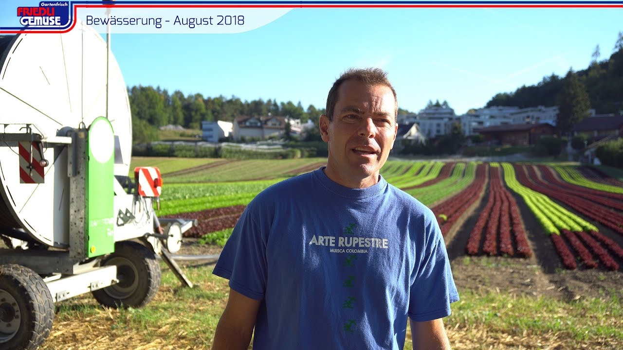 Bew&auml;sserung im Hitzesommer 2018