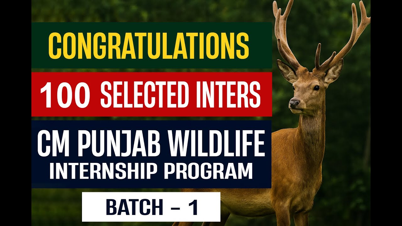 ✅ 100 Selected Interns | CM Punjab Wildlife Internship Program 2025 &ndash; List Announced