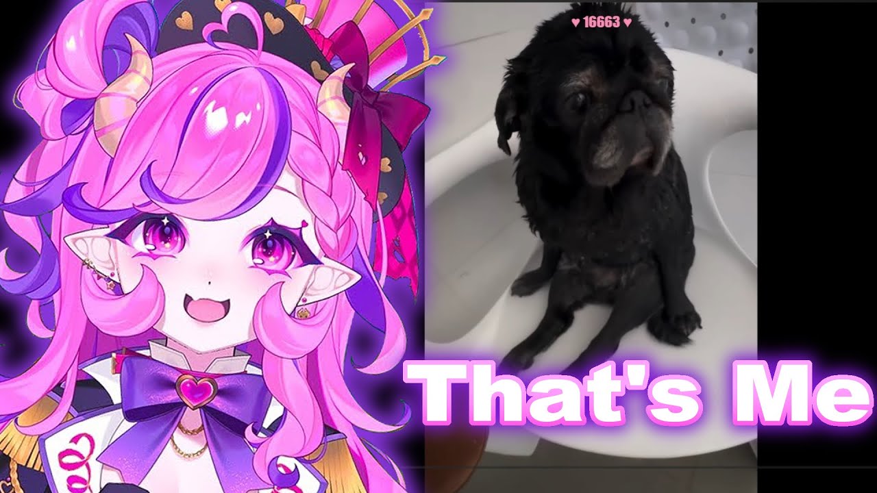 Ironmouse Reacts to Daily Dose of Pet