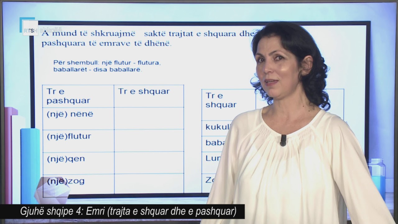 Gjuhë shqipe 4 - Emri (trajta e shquar dhe e pashquar)