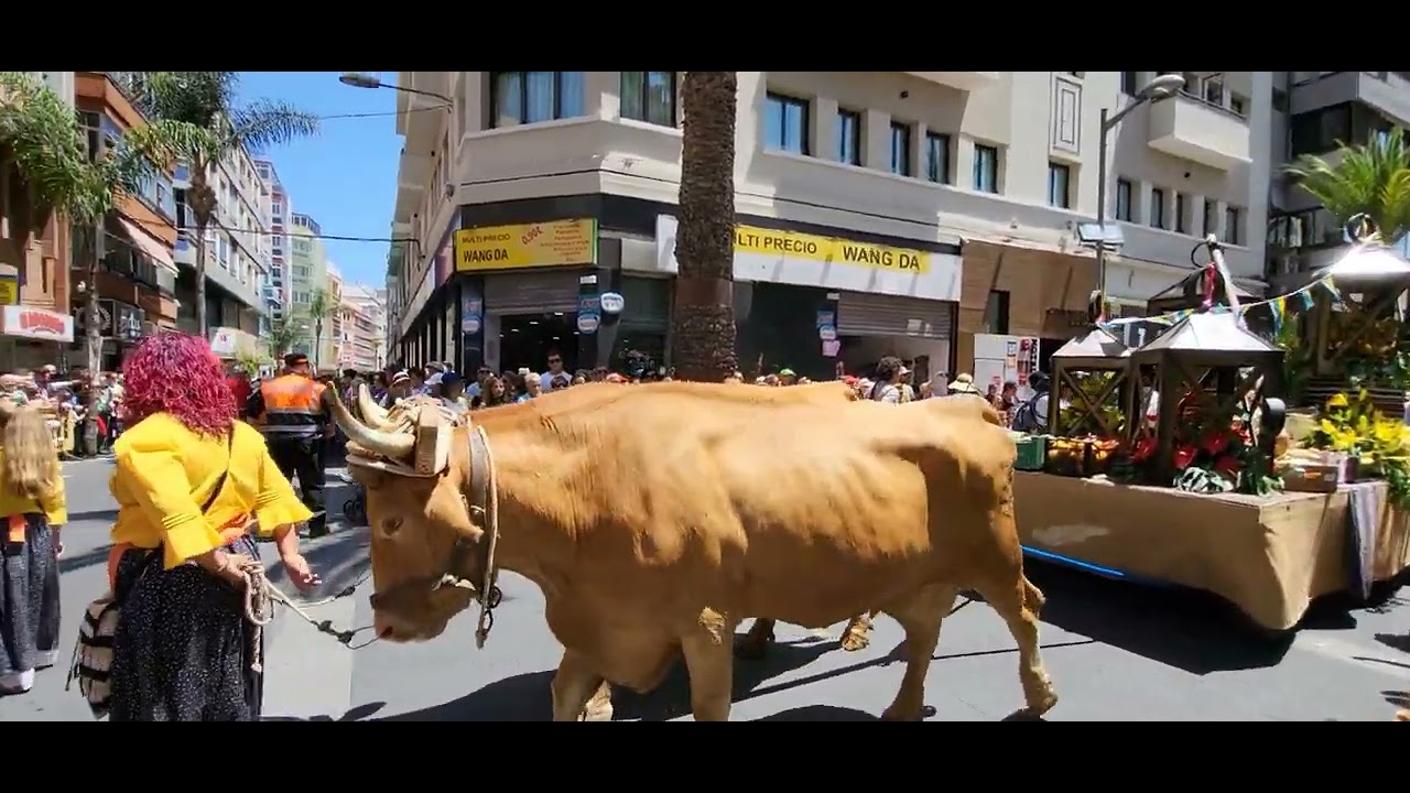 Romería de Día de Canarias. 30 de mayo 2023.
