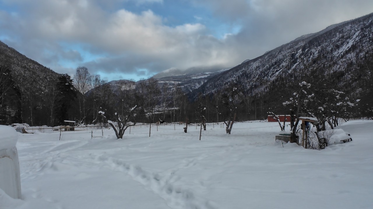 Horse Vlog 15 | Blida.