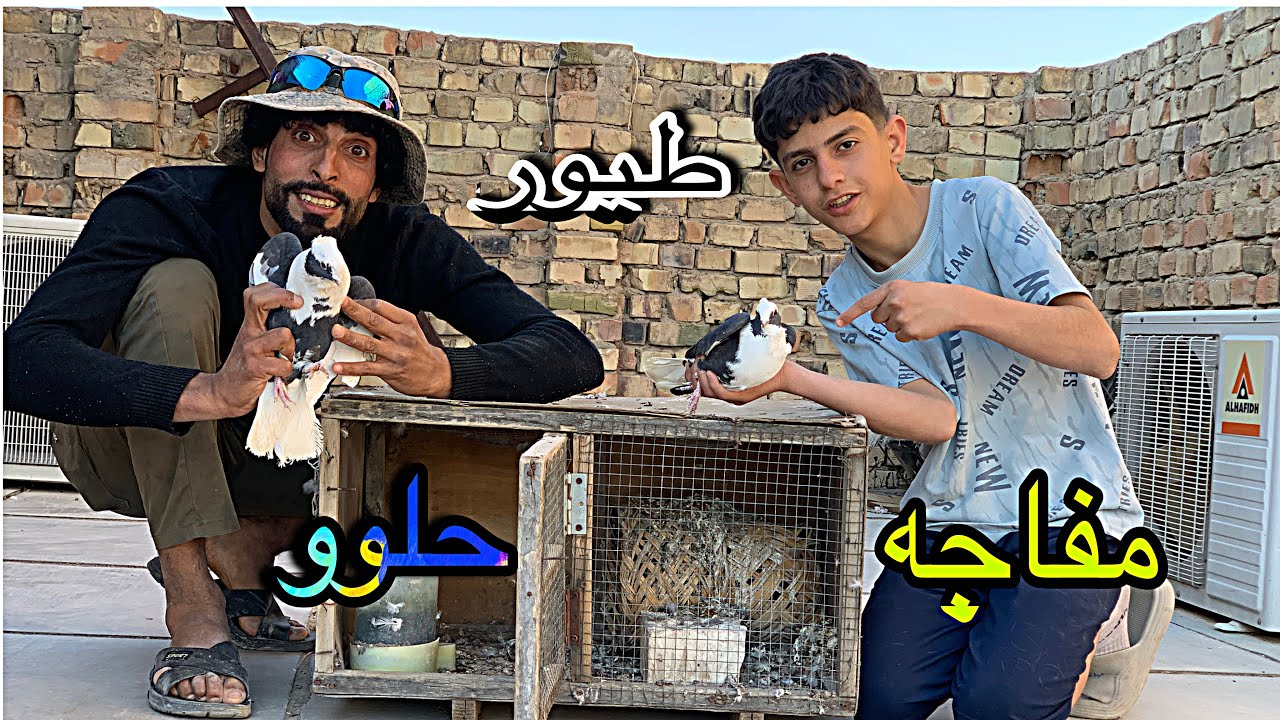 ‏جبنا لكم ‏طيور حلوة 🕊️ ‏وعباس وراح ‏طيرة 😱￼￼￼￼￼
