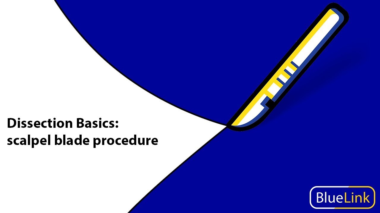 Dissection Basics | Scalpel Blade Procedure