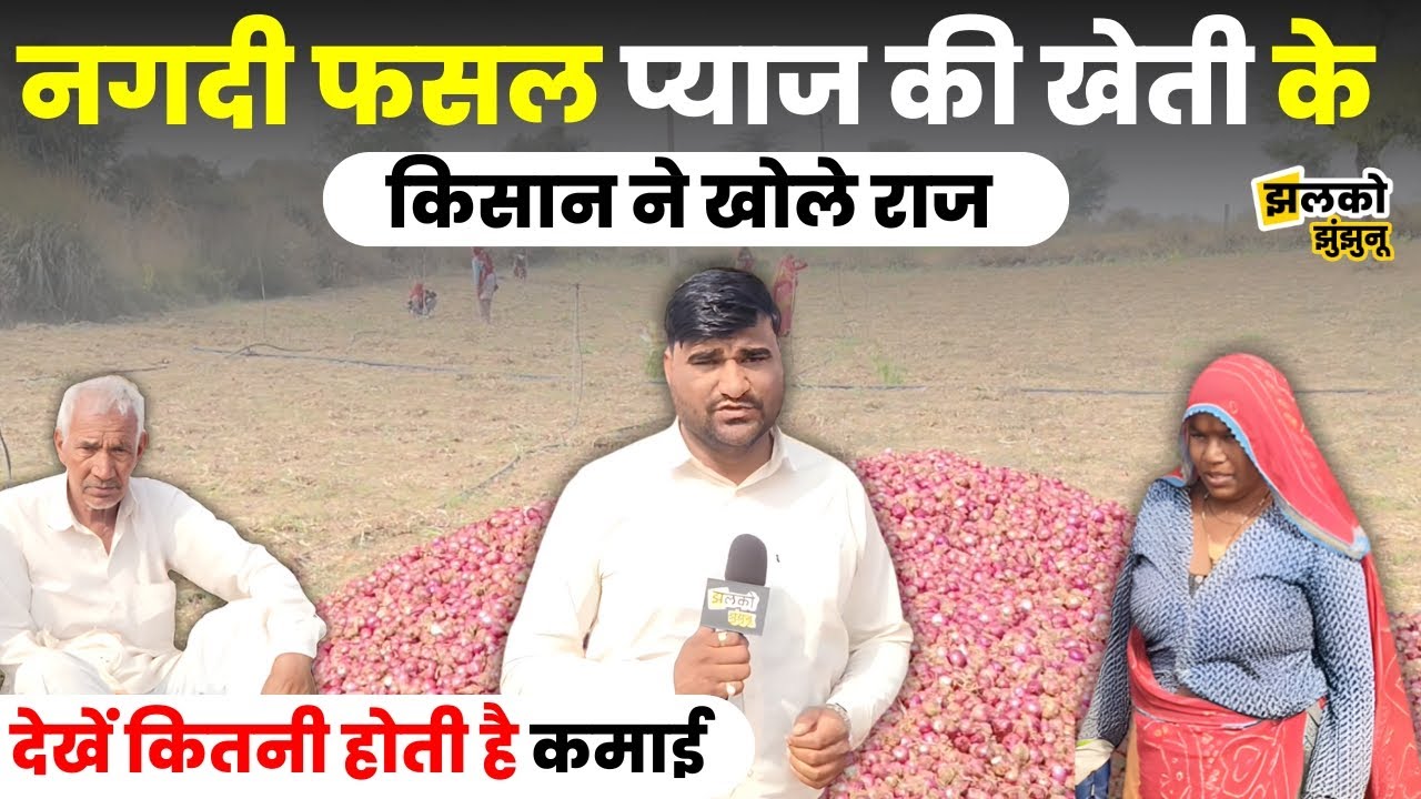 Jhunjhunu में प्याज़ की खेती से कमाई के महिला किसान ने खोले राज, खेत से देखें ground report ~ Jhalko