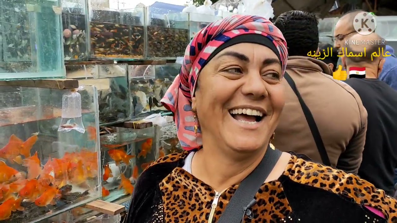 سوق الجمعه بالسيدة عائشة بالاسعار اسماك الزينه🐠🐠🇪🇬