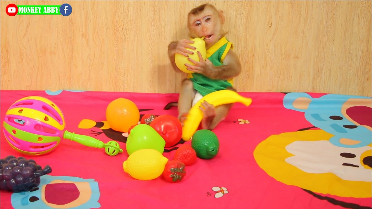 Lonely Baby Monkey Played Alone and Eat Sari Fruits | Monkey ABBY played alone