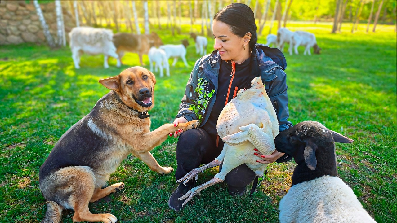 The SECRET  to a Happy Life for a Couple and Their Animals in a Forest Village Far from Civilization