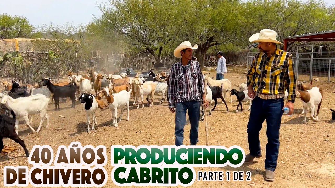 GRANDES CHIVEROS QUE NECESITAN APOYO y quizá no lo sepan ¿QUIÉN SE LOS DARÁ?