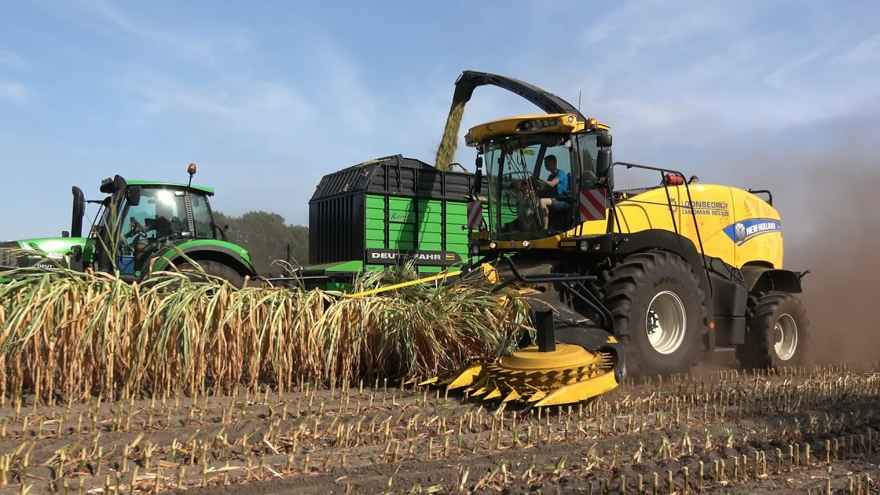 Mais 2018 Loonbedrijf Zandman Beerze met nieuwe New Holland FR500 - deel 1 (2018)