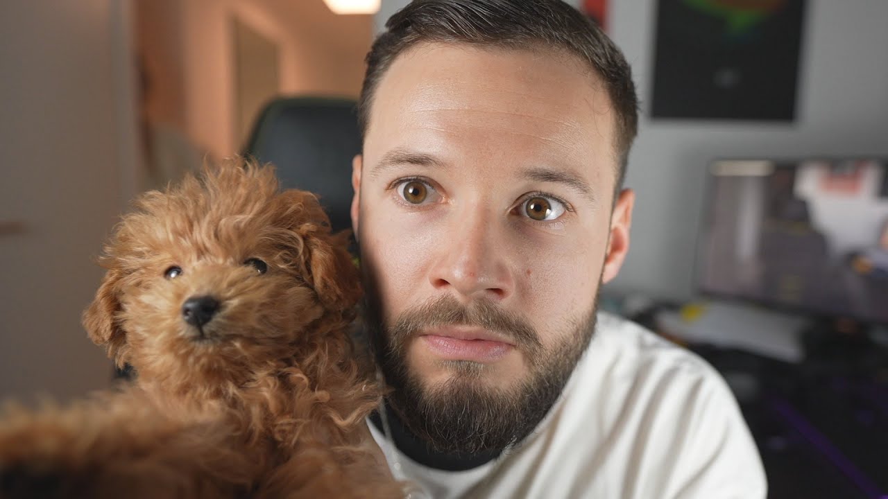 Mama ich zieh um