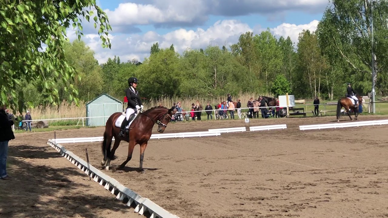 Blankenfelde 05.05.2019, Dressur L5, Note 7,6, 2. Platz