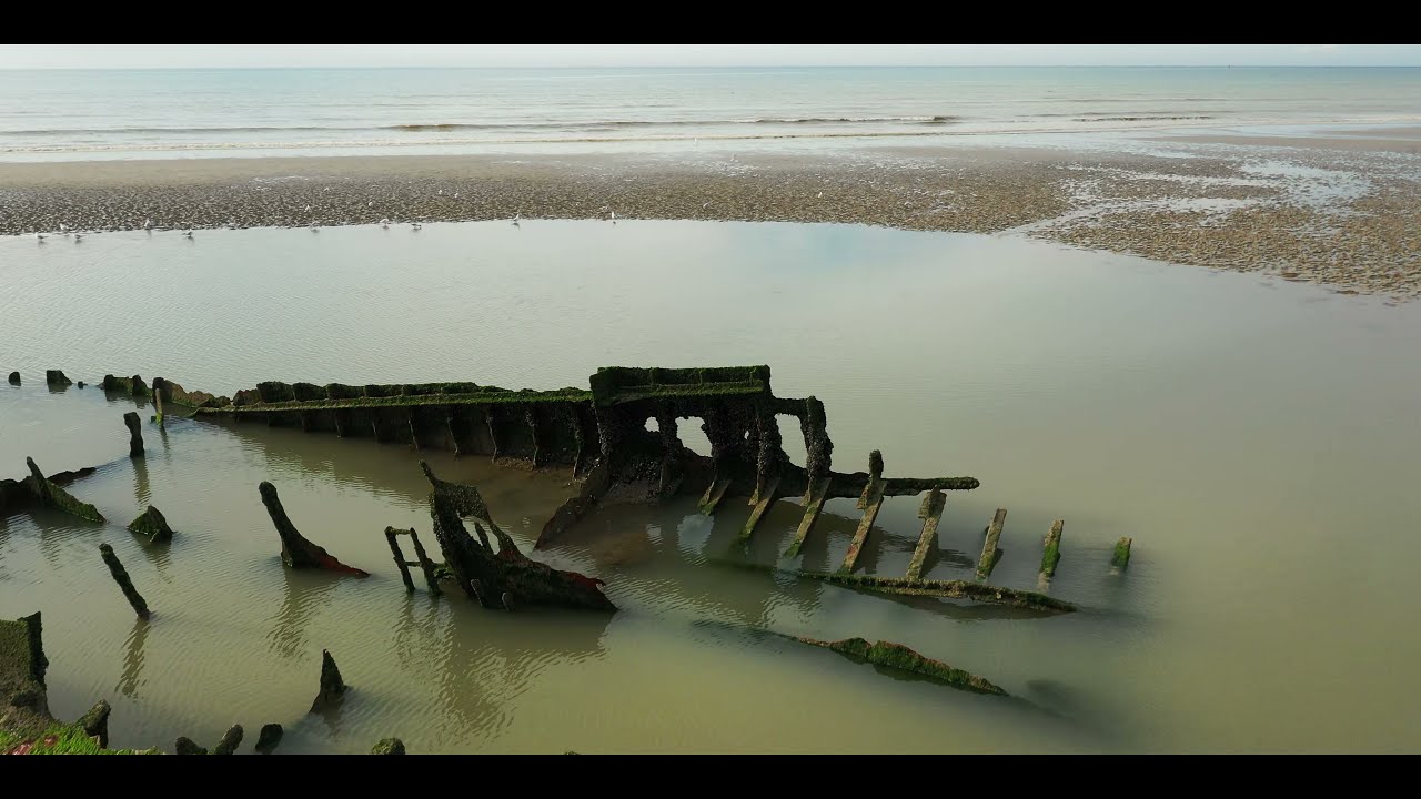 Frankreich #D&uuml;nkirchen #Opalk&uuml;ste Opal K&uuml;ste #Wrack im Sand #CrestedEagle Crested Eagle
