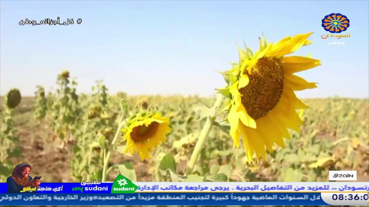 صباح السودان 10-3-2026