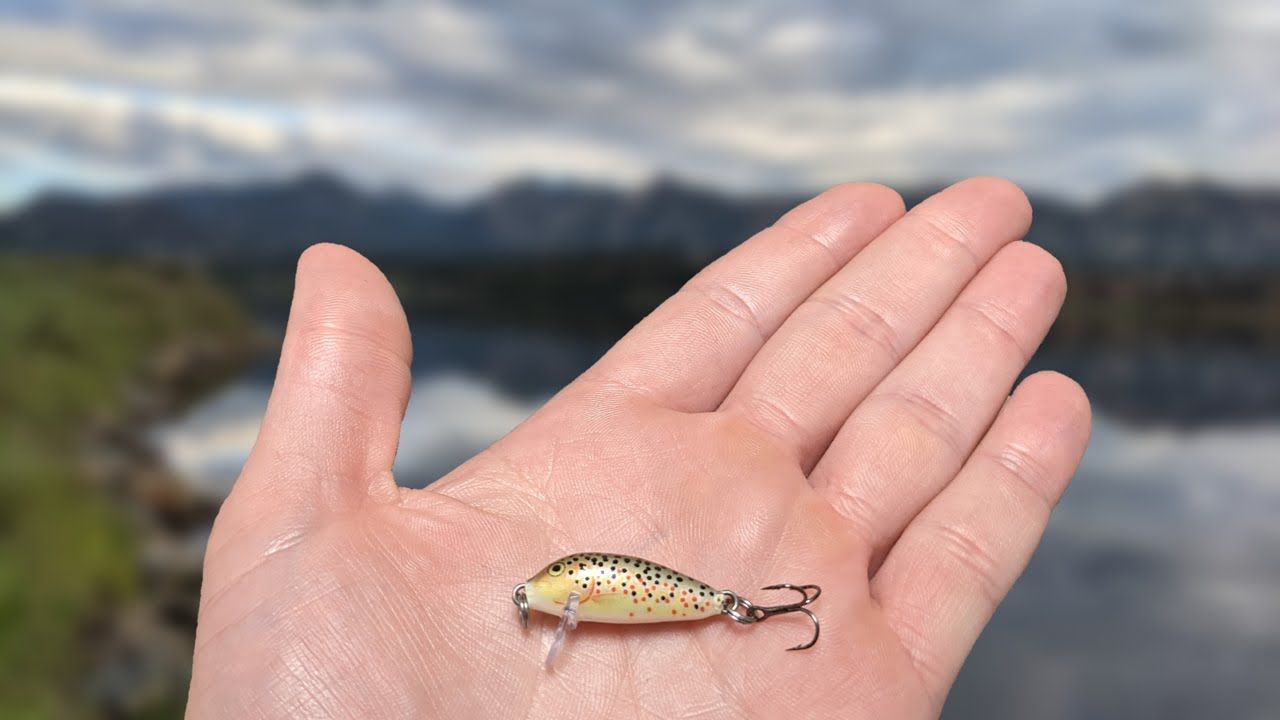 Fishing with the World's SMALLEST Crankbait? The Rapala CD-1 (Lake Estes, CO)