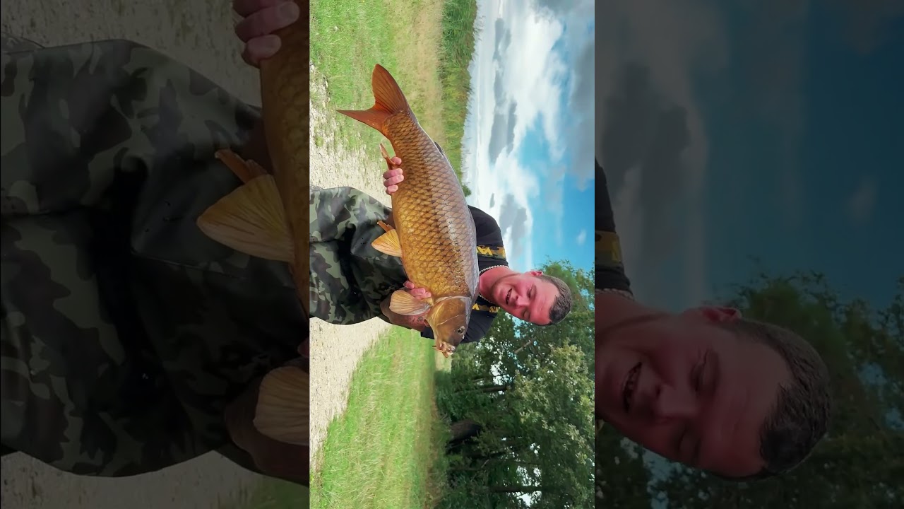 #carpe #pechecarpe #fishing #carpiste #carp #angling #carpangler #fish #carpfishing #fishing