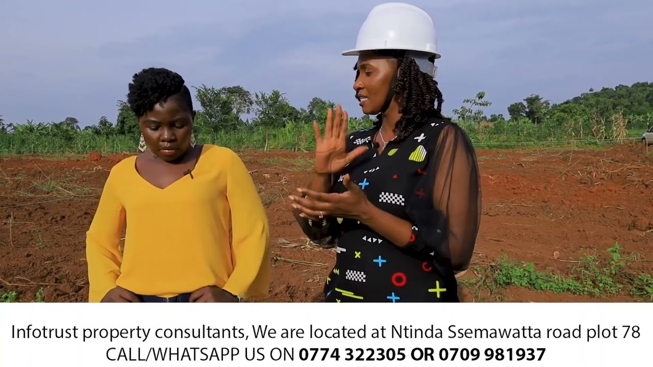 New Mpigi estate 5.5m 50by50🥰🥰