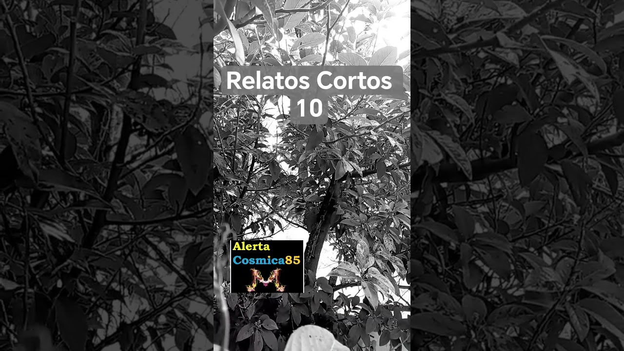 Relatos Cortos 10 - 