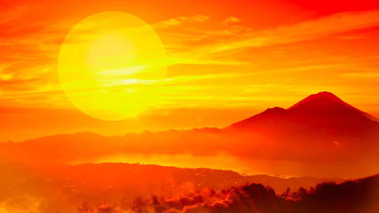 Dialog Streichquartett "This Land" (The Lion King)