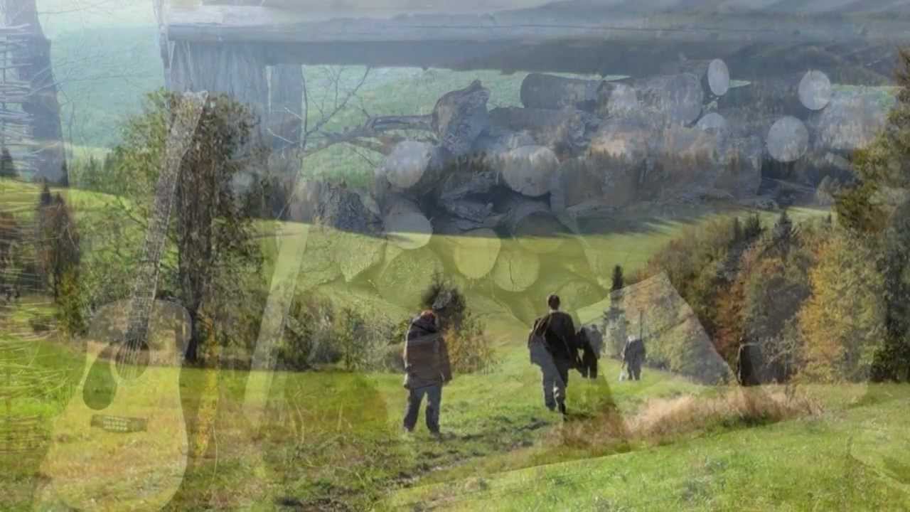 Brontosauři - Tulácký ráno