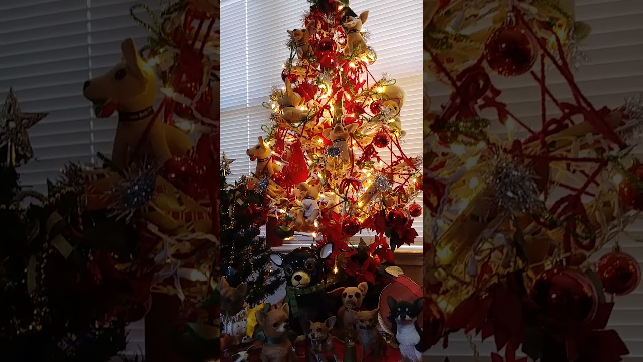 Chihuahua Christmas
