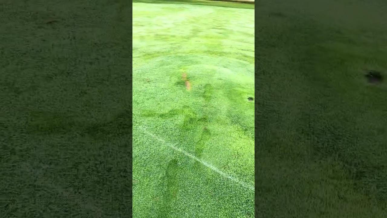 Leaky sprinkler head! Fairway bubbles!
