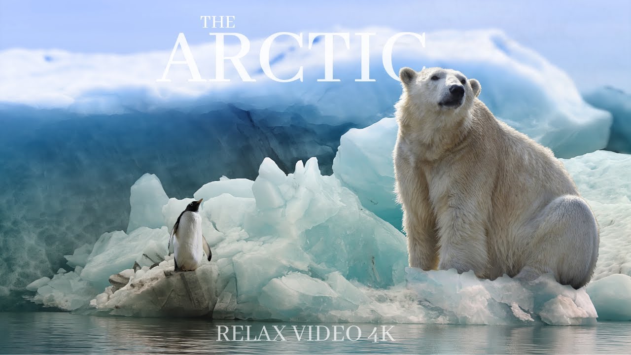 THE ARCTIC 4K - WITH RELAXING MUSIC -  L 'ARTICO 4K - CON MUSICA RILASSANTE