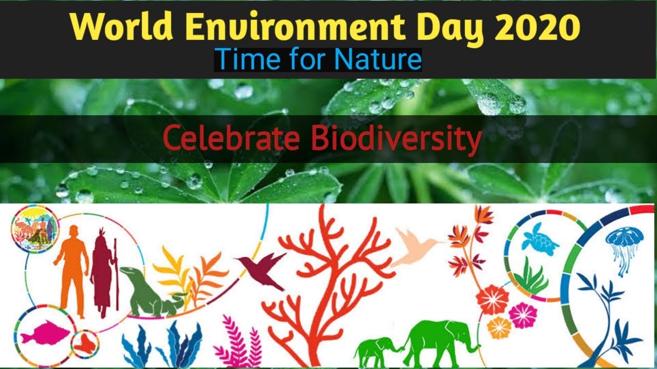 #Evs4ntanet|  World Environment Day 2020 |विश्व पर्यावरण दिवस | save environment|| UGC NET 2020 ||