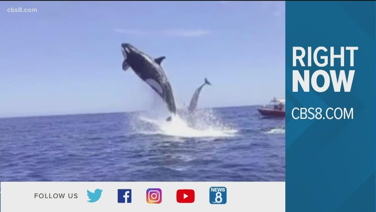 Right now with cbs8.com | What people are talking about online on Friday, May 21, 2021