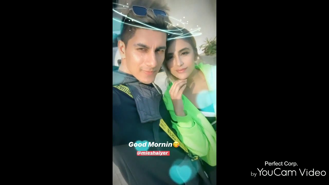 Ashish and Miesha | New TikTok video | Splitsvilla 12 | March 2020