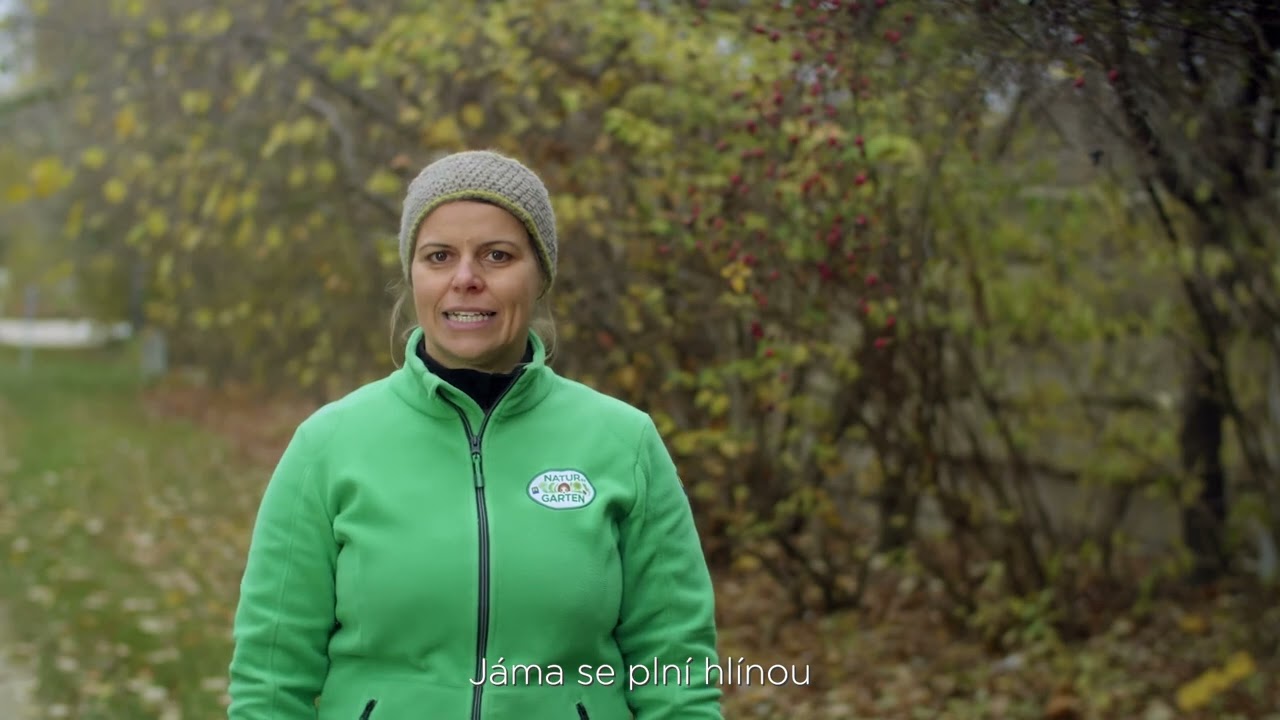 Výsadba živého plotu