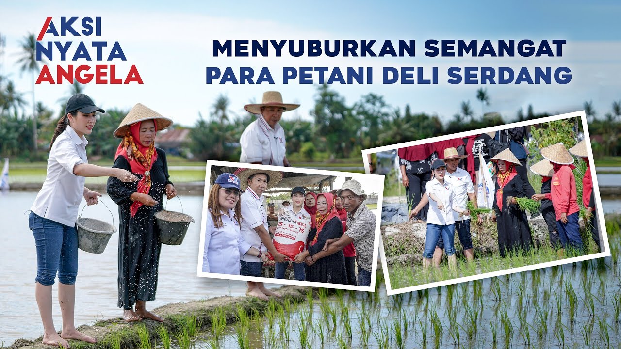 Bersama Petani, Menyusuri Lahan Pertanian Deli Serdang