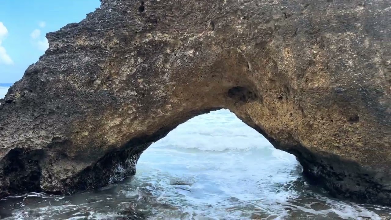 Turtle Bay Beach Portland Jamaica