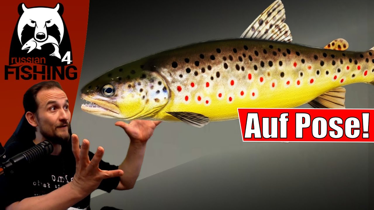Russian Fishing 4 - Belaja - Noch besser! Auf Pose!!! =)