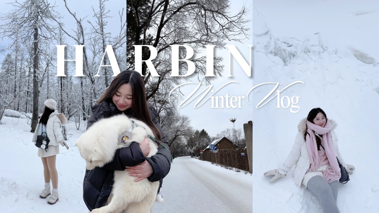 winter holiday in Harbin vlog❄️ Ice & Snow World, Snow Village, Yabuli Ski & more