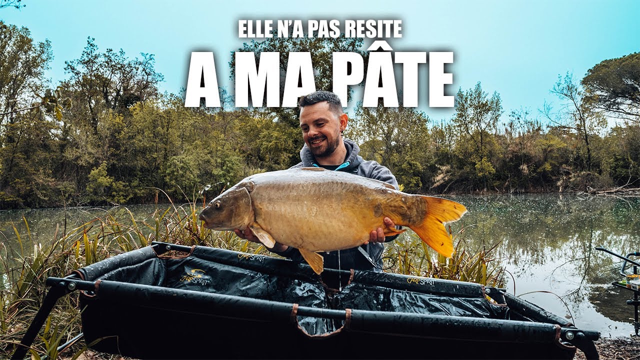 Pêche en milieu encombré, elle n'aura pas résisté à ma pâte - pêche carpe au coup