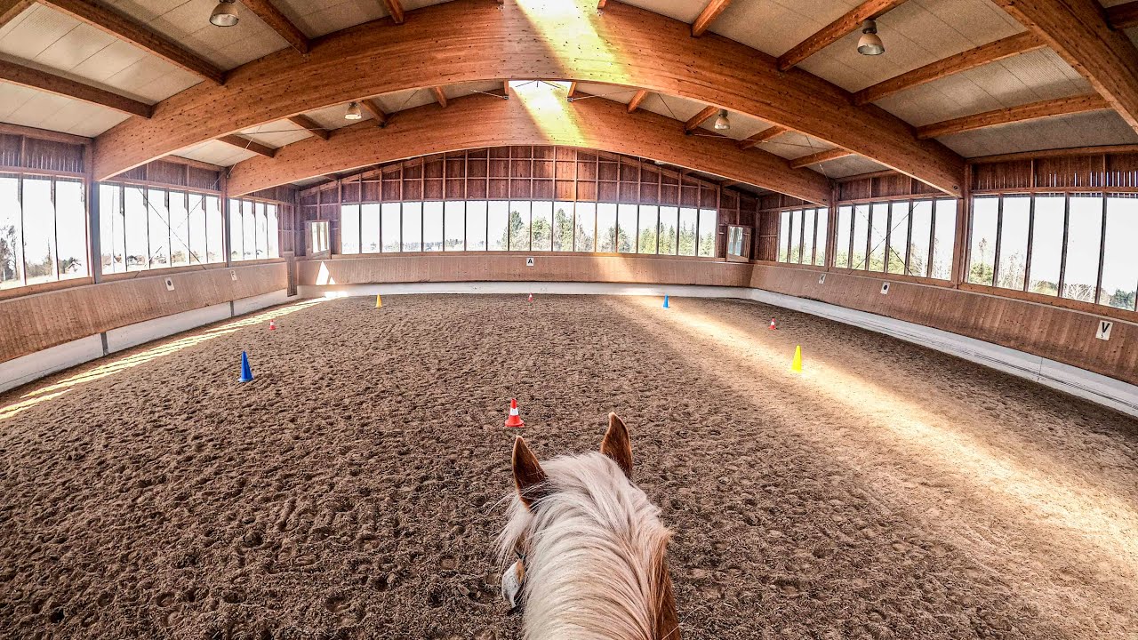 Reittraining &Uuml;bung Pylonen - Slalom