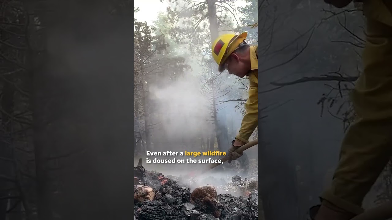 What's a 'zombie fire'? Underground fires may be to blame for Canada wildfires #Shorts