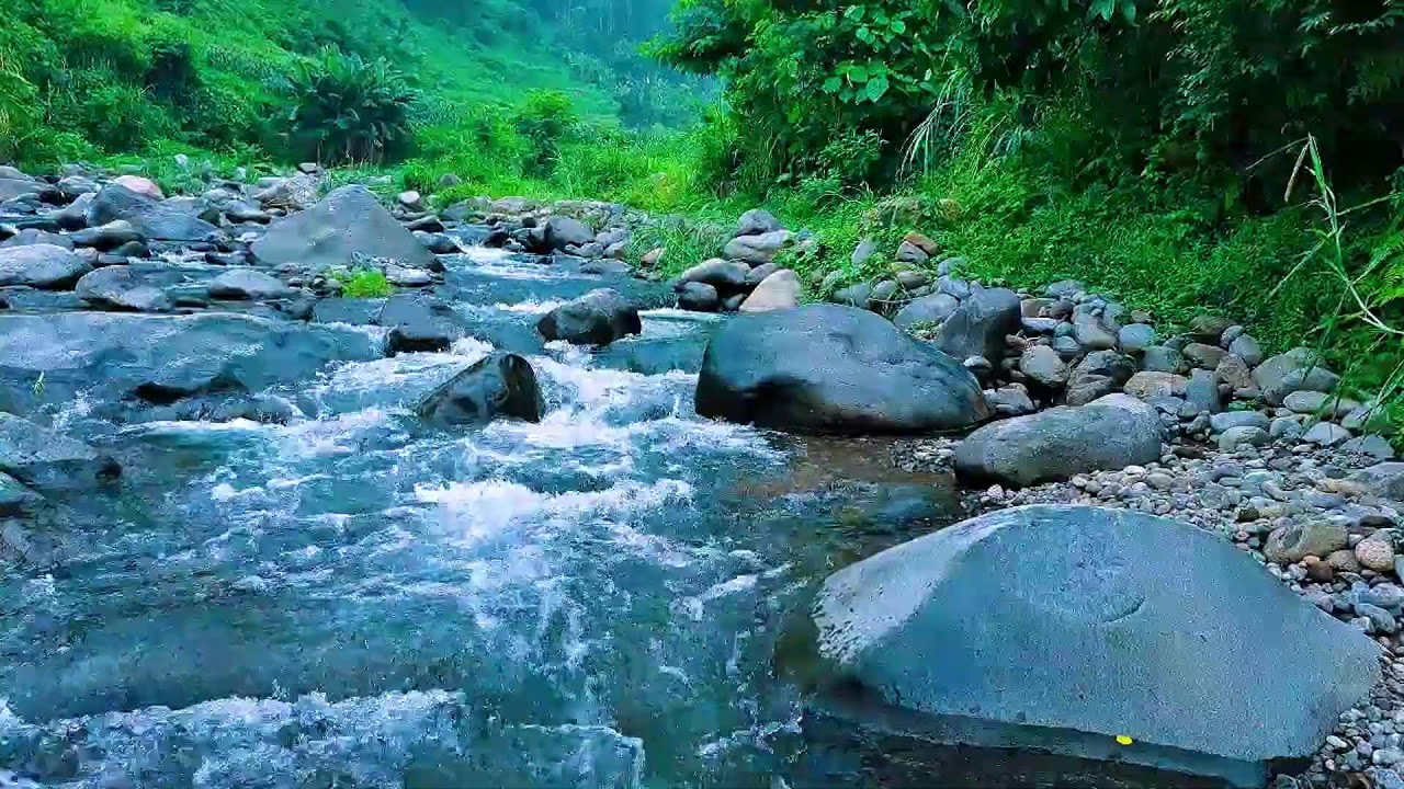 Peaceful River Sounds for Deep Sleep 🌿 Flowing Water, No Music (LIVE)