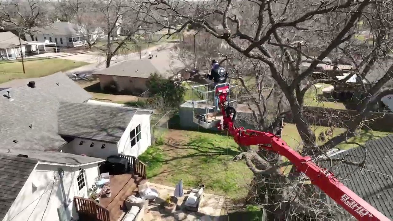 Dead Tree Removal Inches from a Garage! | Denton TX | Clean Edge Tree Service – Denton TX