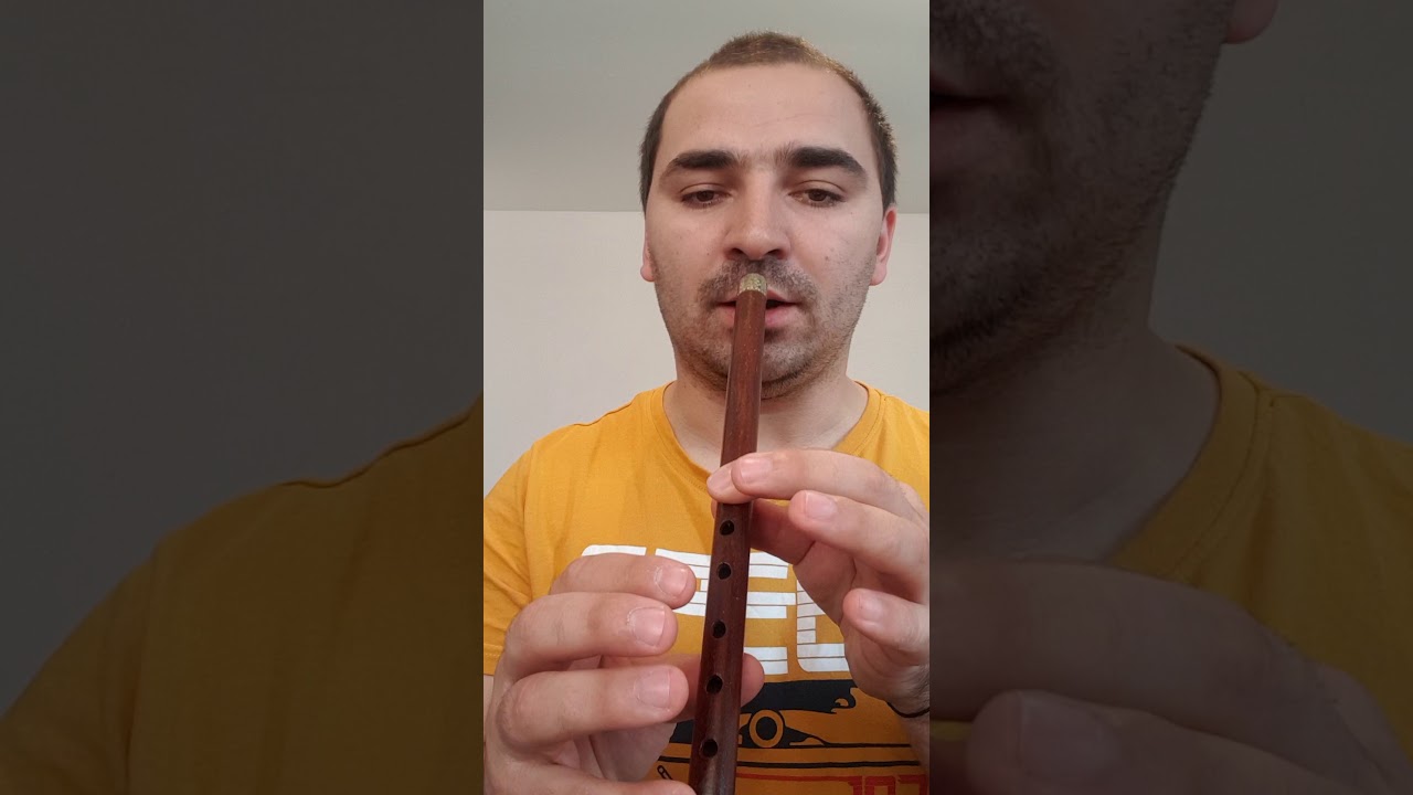 Tutorial prima lecție de fluier. Cum să cântăm la fluier.