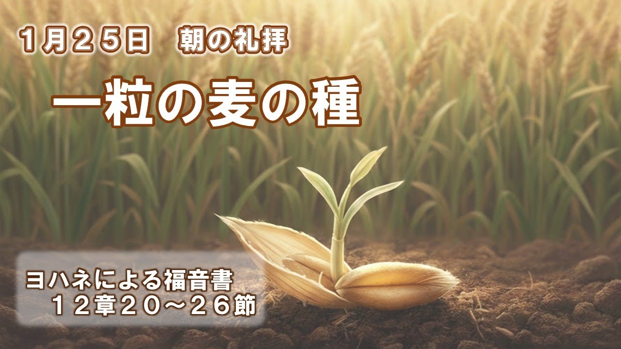 2026年1月25日朝の礼拝「一粒の麦の種」　小林義信 引退教師　ヨハネによる福音書１２章２０～２６節