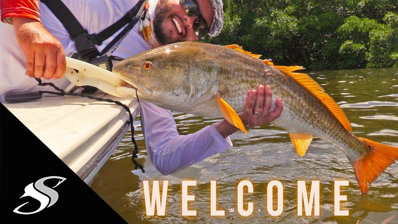 Welcome to Joshua Taylor's Channel AKA Salty Scales