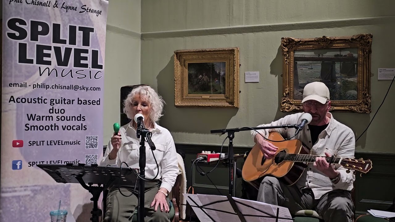Split Level. 'Drive'  Williamson Art Gallery Birkenhead  6/2/26