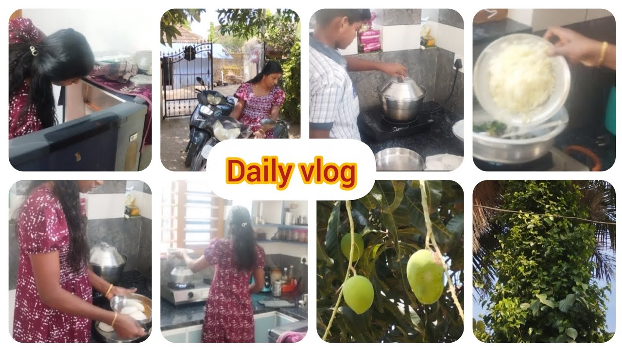 എന്റെ രാവിലെ തൊട്ട് ഉച്ചവരെയുള്ള കുറച്ചു പരിപാടികൾ  എന്റെ വീട്ടിലേക്ക് ഒന്ന് പോയിട്ട് വരാട്ടോ 🏠🏠❤️