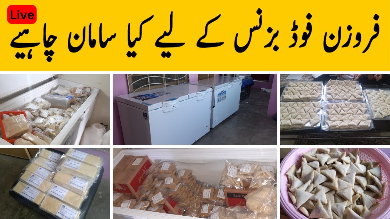 Small setup for frozen food business | فوڈ بزنس آیڈیا | Frozen food Business Reality