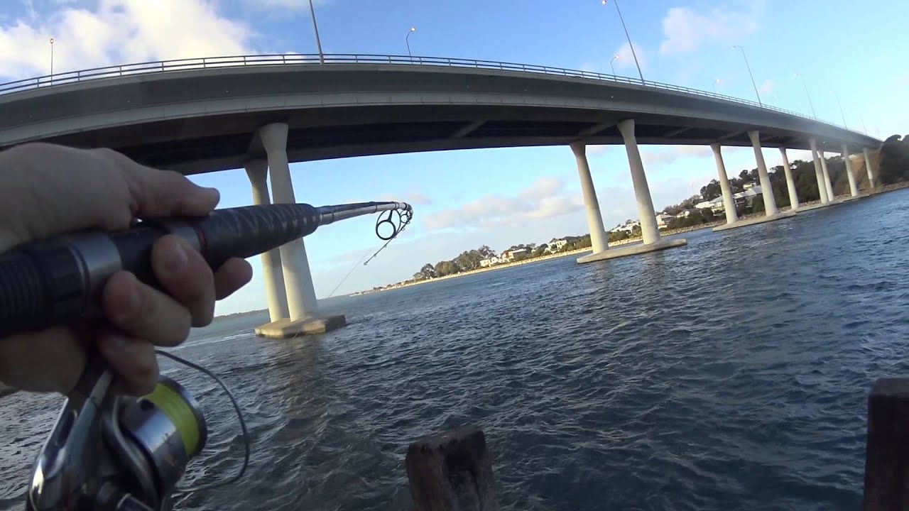 One Man and His Rod - Catching Skippy at Dawesville Cut