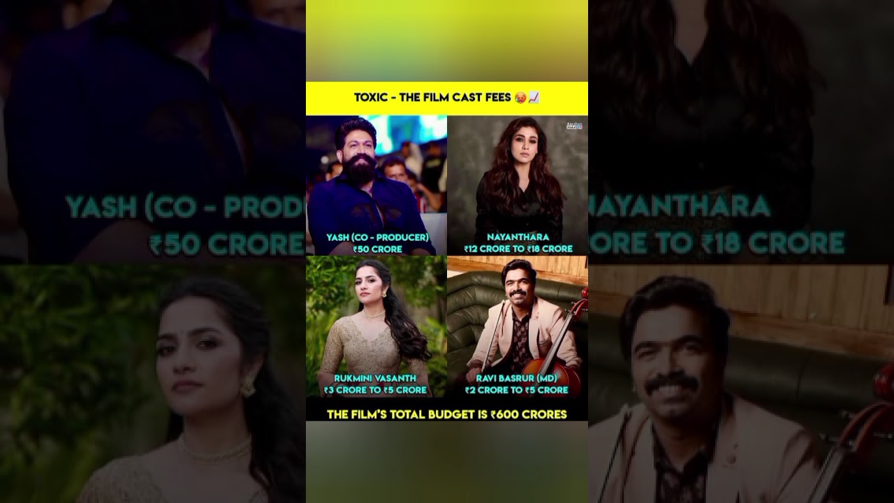 Toxic Film Cast Fees Box office collection #bollywood #motivation #shorts