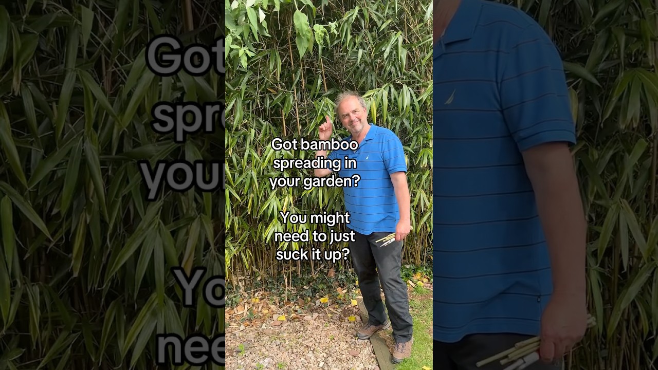 Using bamboo as a natural straw instead of using paper or plastic ones